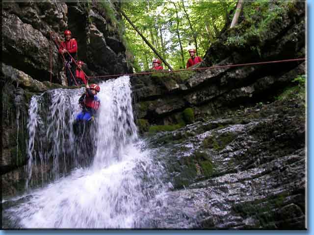 flying fox
